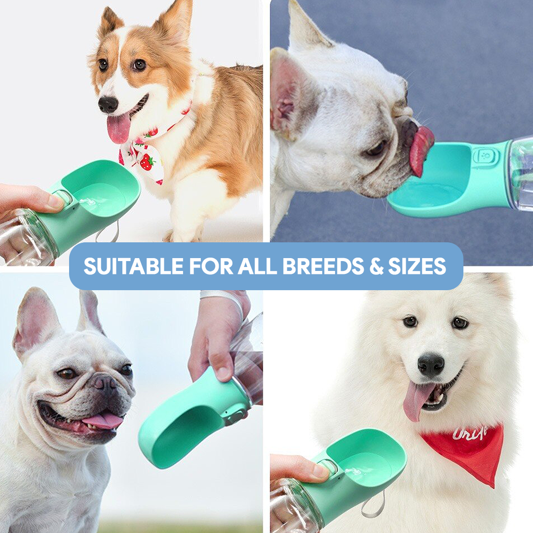 Portable Dog Water Bottle