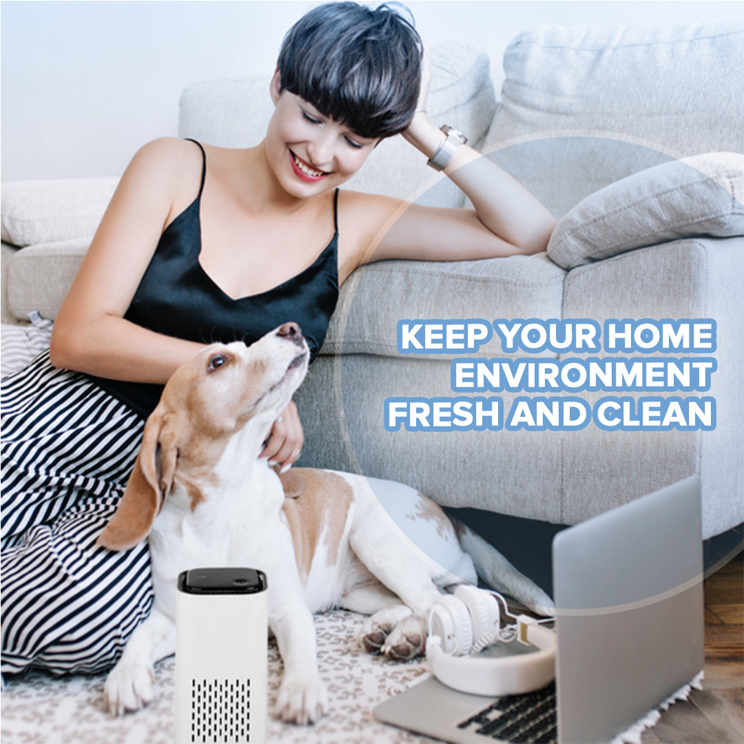 Pet Air Purifier